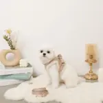 木馬刺繍入りコーデュロイボアハーネス+リードSET【名入れ刺繍対応】 - 画像 (6)