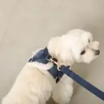 木馬刺繍入りコーデュロイボアハーネス+リードSET【名入れ刺繍対応】 - 画像 (10)