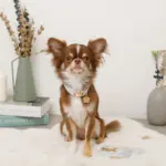 ギンガムチェックいちごフラワーチャームカラー+リードSET【名入れ彫刻対応】 - 画像 (3)