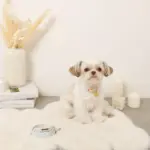 ギンガムチェックいちごフラワーチャームカラー+リードSET【名入れ彫刻対応】 - 画像 (5)