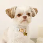 ギンガムチェックいちごフラワーチャームカラー+リードSET【名入れ彫刻対応】 - 画像 (6)