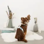 ギンガムチェックいちごハーネス - 画像 (2)