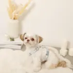 ギンガムチェックいちごハーネス - 画像 (8)