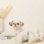 ギンガムチェックいちごハーネス - 画像 (9)