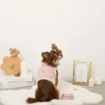 キルティングボアレースハーネス+リードSET【名入れ刺繍対応】 - 画像 (3)