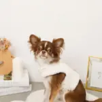 キルティングボアレースハーネス+リードSET【名入れ刺繍対応】 - 画像 (8)