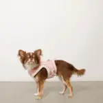 キルティングボアレースハーネス+リードSET【名入れ刺繍対応】 - 画像 (9)