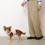 キルティングボアレースハーネス+リードSET【名入れ刺繍対応】 - 画像 (10)