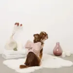 ビッグリボンファーハーネス+リードSET【名入れ刺繍対応】 - 画像 (3)