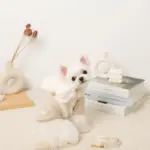 ビッグリボンファーハーネス+リードSET【名入れ刺繍対応】 - 画像 (4)