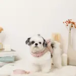 ビッグリボンファーハーネス+リードSET【名入れ刺繍対応】 - 画像 (5)