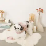 ビッグリボンファーハーネス+リードSET【名入れ刺繍対応】 - 画像 (6)