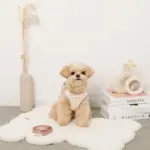 ボアハート刺繍ハーネス＋リードSET【名入れ刺繍対応】 - 画像 (4)