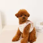 ボアハート刺繍ハーネス＋リードSET【名入れ刺繍対応】 - 画像 (8)