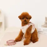 ボアハート刺繍ハーネス＋リードSET【名入れ刺繍対応】 - 画像 (9)