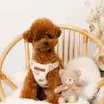 くまさん刺繍ボアハーネス+リードSET【名入れ刺繍対応】 - 画像 (2)