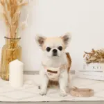 くまさん刺繍ボアハーネス+リードSET【名入れ刺繍対応】 - 画像 (4)