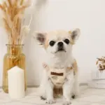 くまさん刺繍ボアハーネス+リードSET【名入れ刺繍対応】 - 画像 (5)