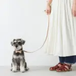 オーストレザーリード - 画像 (2)