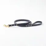 オーストレザーリード - 画像 (7)