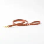 オーストレザーリード - 画像 (9)