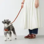 オーストレザーリード - 画像 (10)