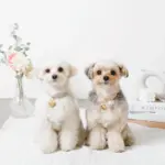 ハートチャームレザーカラー【名入れ彫刻対応】 - 画像 (8)