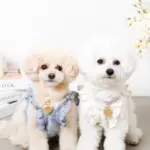 ハートチャームレザーカラー【名入れ彫刻対応】 - 画像 (9)