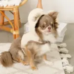 耳付きフードボアハーネス - 画像 (5)