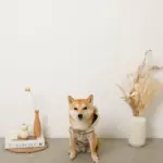 耳付きフードボアハーネス - 画像 (9)