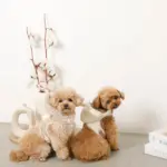 耳付きフードボアハーネス - 画像 (10)