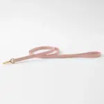 レザーリード - 画像 (2)