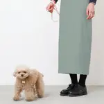 レザーリード - 画像 (8)