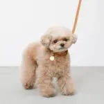 サークルチャームレザーカラー【名入れ彫刻対応】 - 画像 (10)