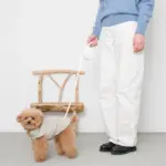 ウォーキングロングリード 5m - 画像 (2)