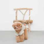 ウォーキングロングリード 5m - 画像 (4)