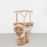 ウォーキングロングリード 5m - 画像 (5)