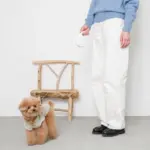 ウォーキングロングリード 5m - 画像 (6)