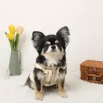 ミックスカラー反射ハーネス - 画像 (4)