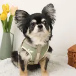 ミックスカラー反射ハーネス - 画像 (9)