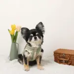 ミックスカラー反射ハーネス - 画像 (10)