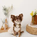 ミックスカラー反射カラー【名入れ彫刻対応】 - 画像 (2)