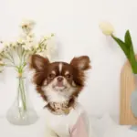 ミックスカラー反射カラー【名入れ彫刻対応】 - 画像 (4)