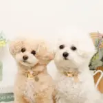 ミックスカラー反射カラー【名入れ彫刻対応】 - 画像 (5)