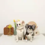 ミックスカラー反射カラー【名入れ彫刻対応】 - 画像 (7)