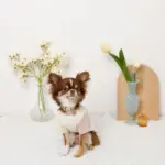 ミックスカラー反射カラー【名入れ彫刻対応】 - 画像 (10)