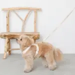 コットンライクハーネス - 画像 (10)