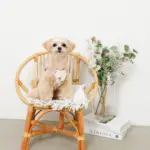 冷感いちご柄ハーネス+リードSET【名入れ刺繍対応】 - 画像 (6)