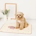 冷感いちご柄ハーネス+リードSET【名入れ刺繍対応】 - 画像 (7)