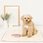 冷感いちご柄ハーネス+リードSET【名入れ刺繍対応】 - 画像 (8)